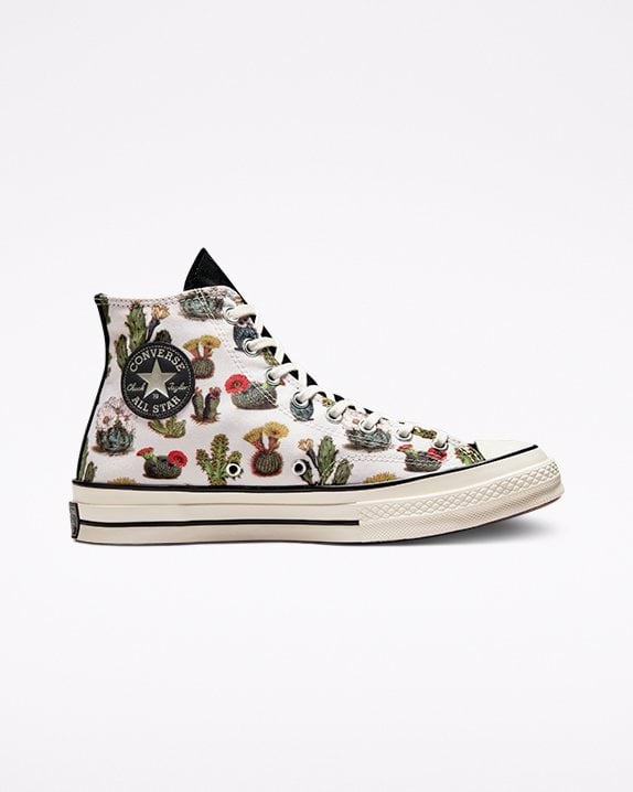 Chuck 70 Succulents